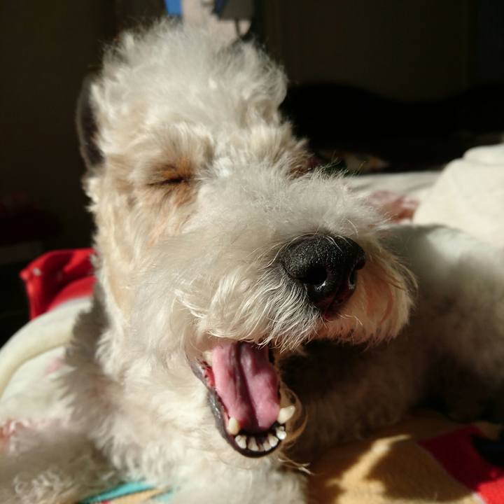 01854b6f 7049 4ced 9214 bcadfbd351c3