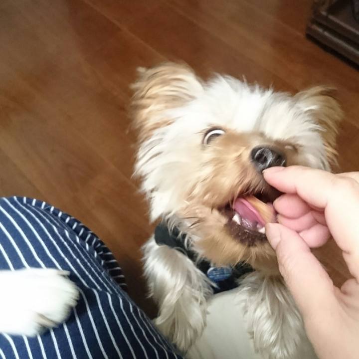 018576f2 d669 4e33 9e6c 0bb8efbc2299