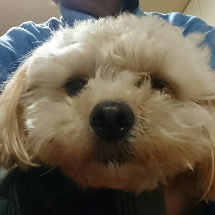 01860de1 48b3 4e43 bd40 c46faf5699e7