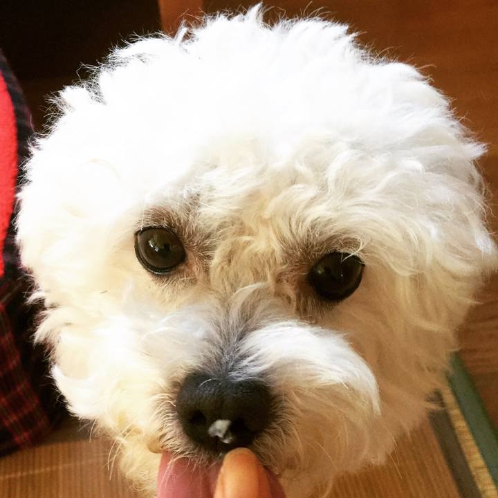 01866cfe 2546 4bde ac61 e66a36db58e4