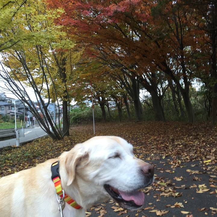 0186ae1a 82b9 40ec b2a6 0fba88634eb1