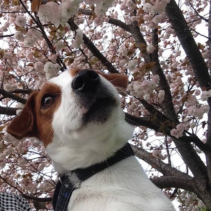 0186f9fa 733e 45b3 bc7f f2147fc58921