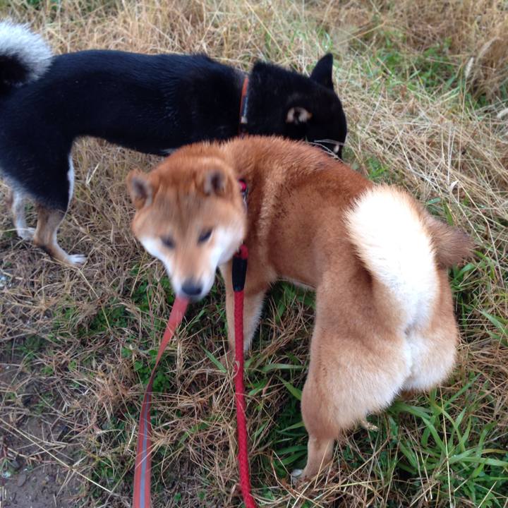 01871699 3f91 461d b36d bdc9f1a946f3