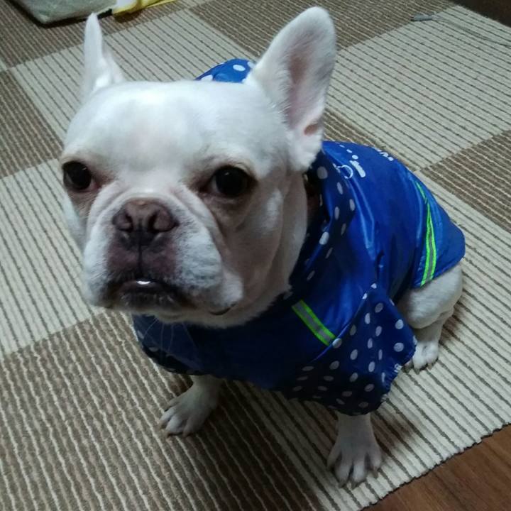 0187df4c e4e3 42b9 9681 3d60b5466761