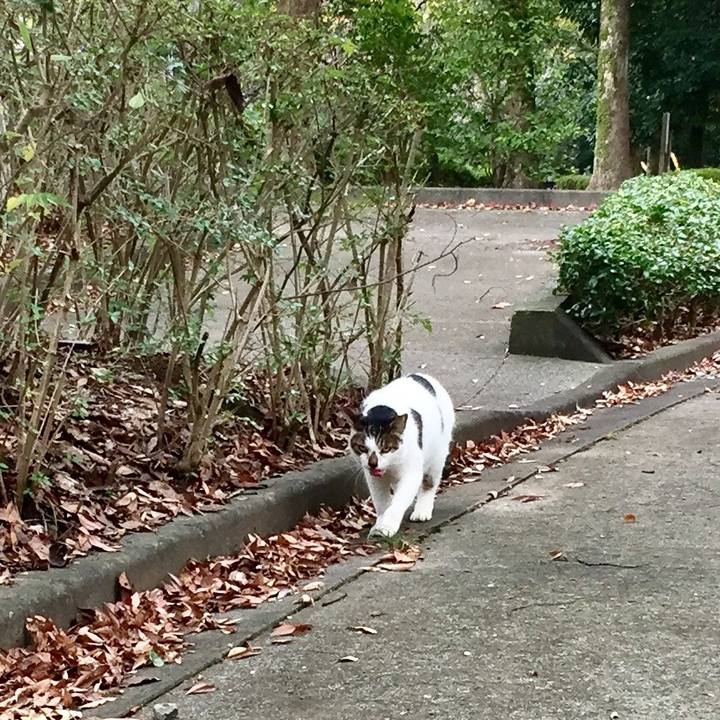 0187eacd ba7b 4a55 b222 a92c32917ed3