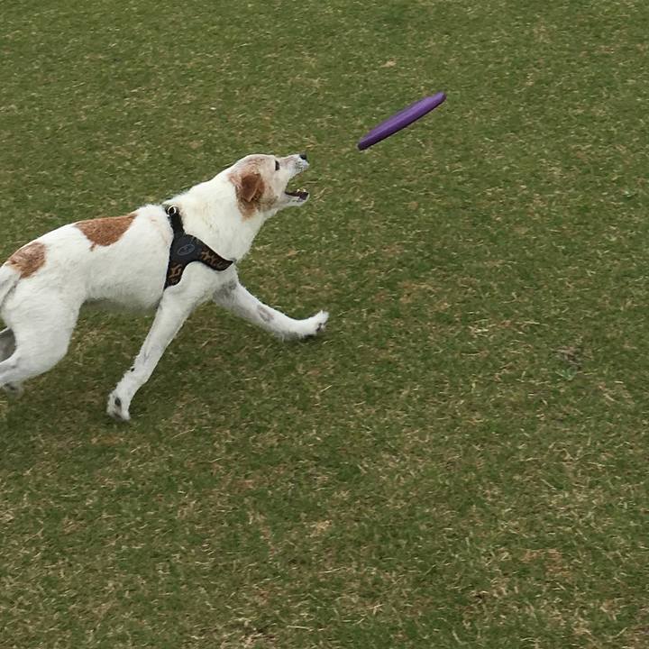 0187ef93 4591 41f6 a566 2541c6dafbe6