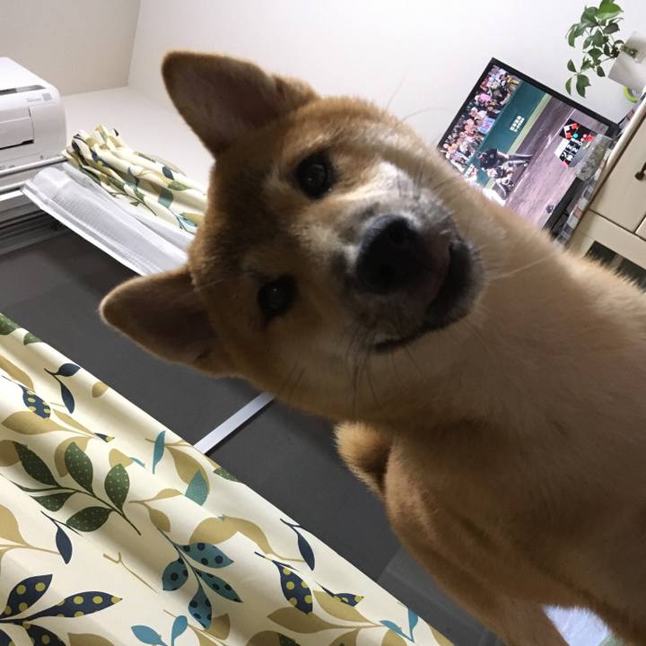 018801a4 4aa4 44fd 8fe5 6d1010dfe0cd