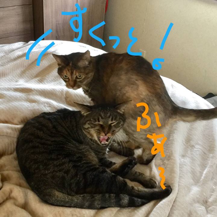 0188a808 5f89 4e2d 96cf 9da8ca1d4f0f