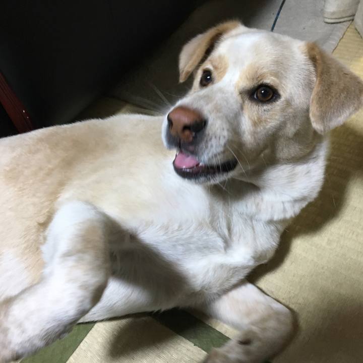 0188bbb0 8bca 41cd aeba 2162f222566c