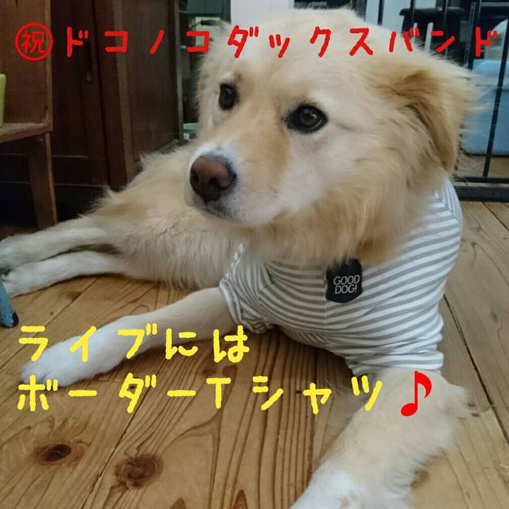 0188d128 07ed 4853 a2b3 aea55b1a364b