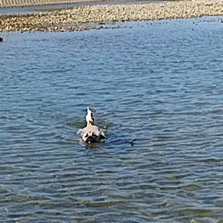 0189fd86 1f6e 47ea 8b7f 36541a29c582