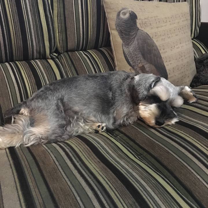 018a2b62 83ce 471d 9150 0e7efaee5cf1