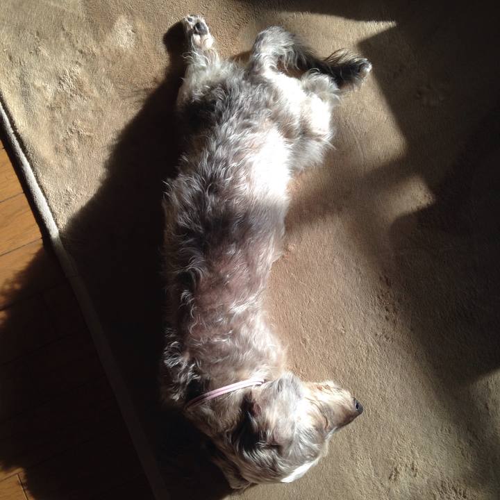 018a39f7 fbcb 4fcf ac6d c845dab2b88e