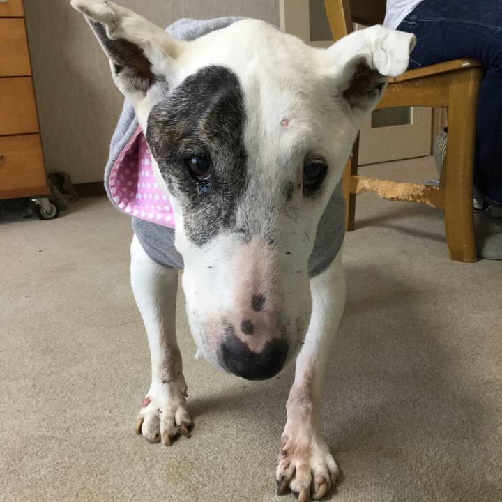 018a4aa5 db2b 442a babd 5a713d06d028