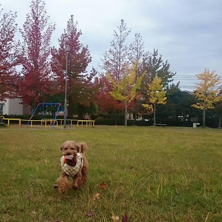 018a7f1d b60e 405d 88fb 1b582056b0a0