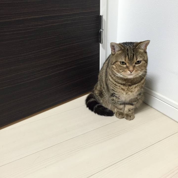 018b2f81 8a8d 43c0 85cd 341f0f489ba4