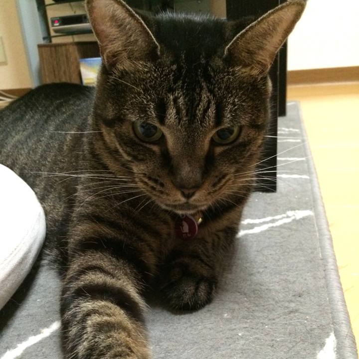 018b3228 776c 409f a167 aeb294e05622