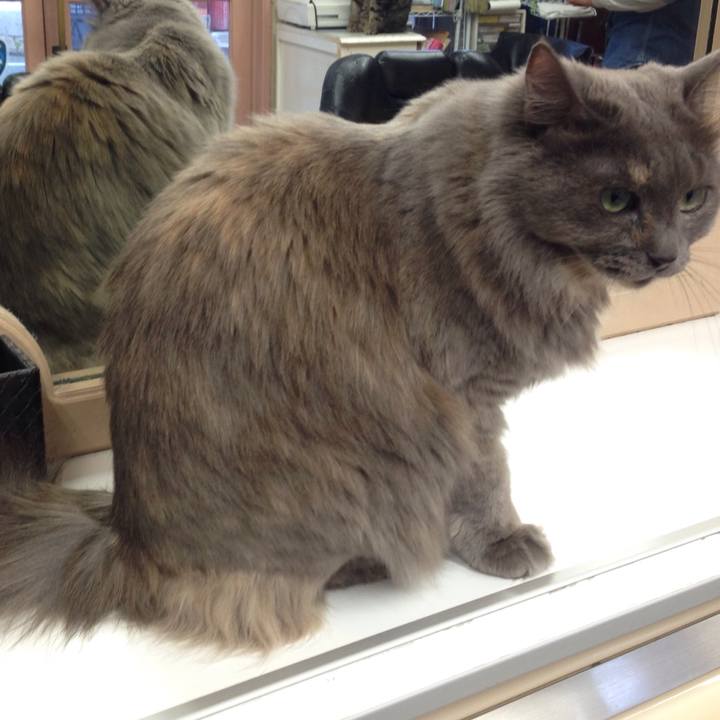 018b72c8 7ede 4c49 a43a 4ccccfb4f2dc