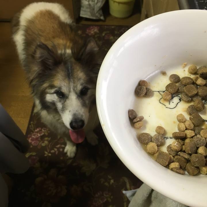 018bf124 691e 4576 9a46 1d404bcfdd68