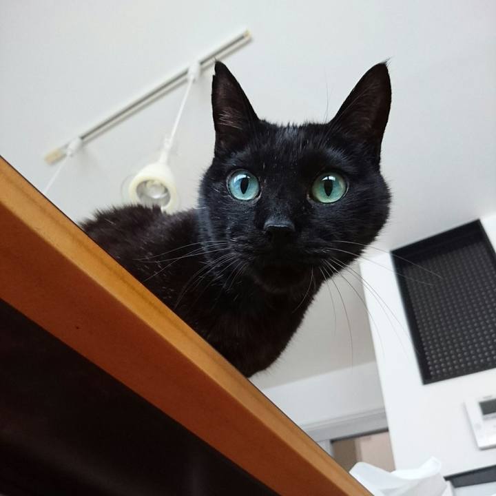 018c388b afac 4b76 915f 5a1681525ad9