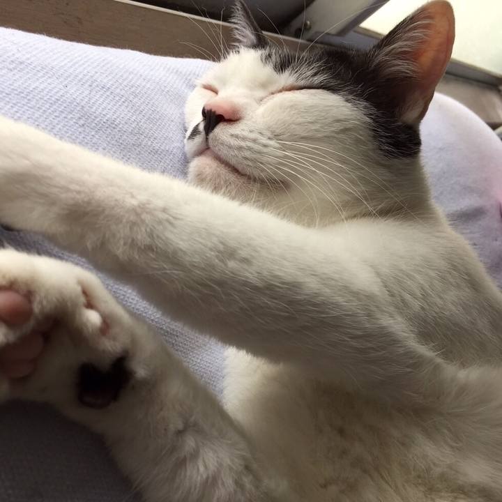 018e1ca1 a47f 4035 ac75 10dd6545d4c6