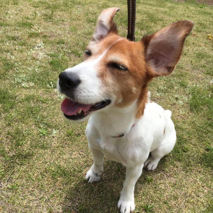 018e230e d1fc 4d17 b2a5 5b8e569a151c