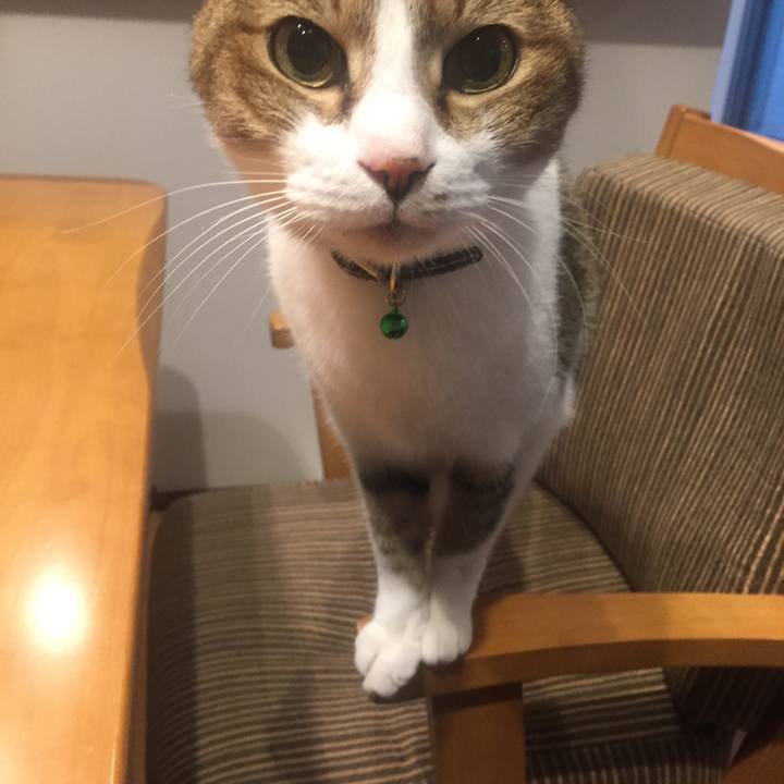 018e591c 5690 47ab 8ca6 3bc5e6c1e32a