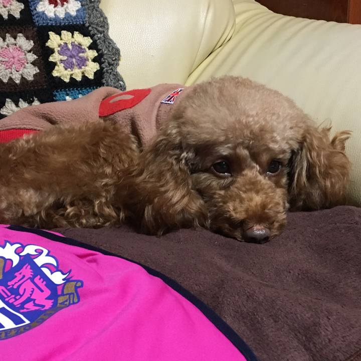 018f4abc 358d 4e1c a339 26e4d3f1af6c