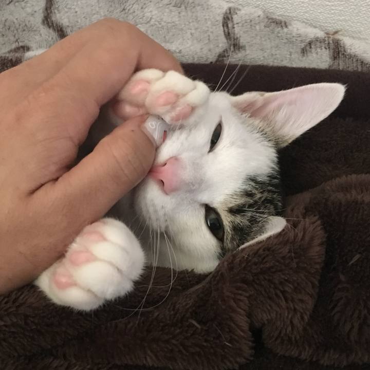 018f564c 1c5a 4b0f 8703 2821ec1ce224