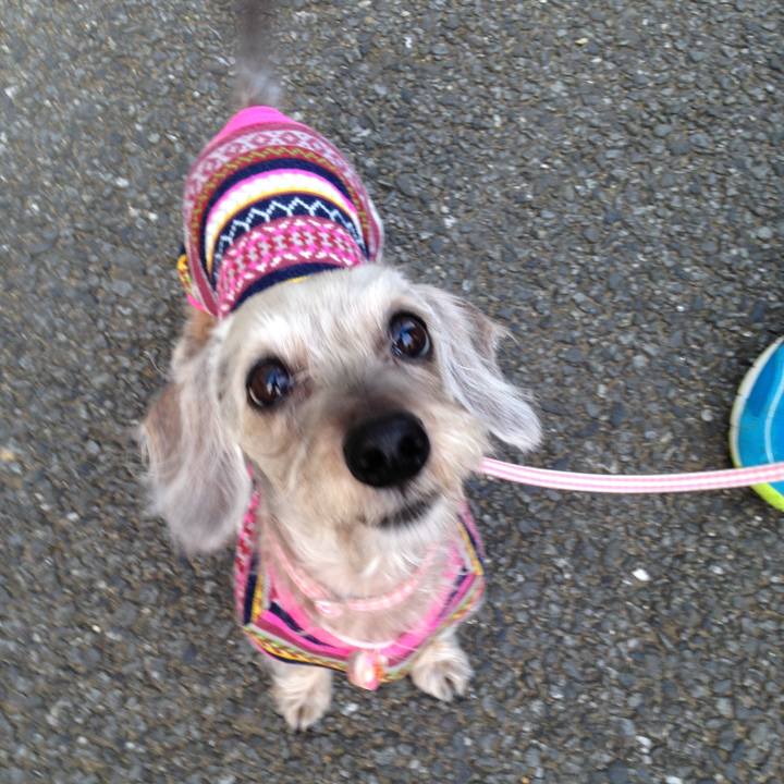 0190c2ee f347 4e90 8f8d d69d0336ae27