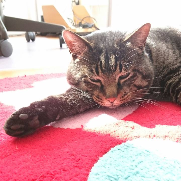 01912e4e c8ba 4b8a b33d 0752d340c062