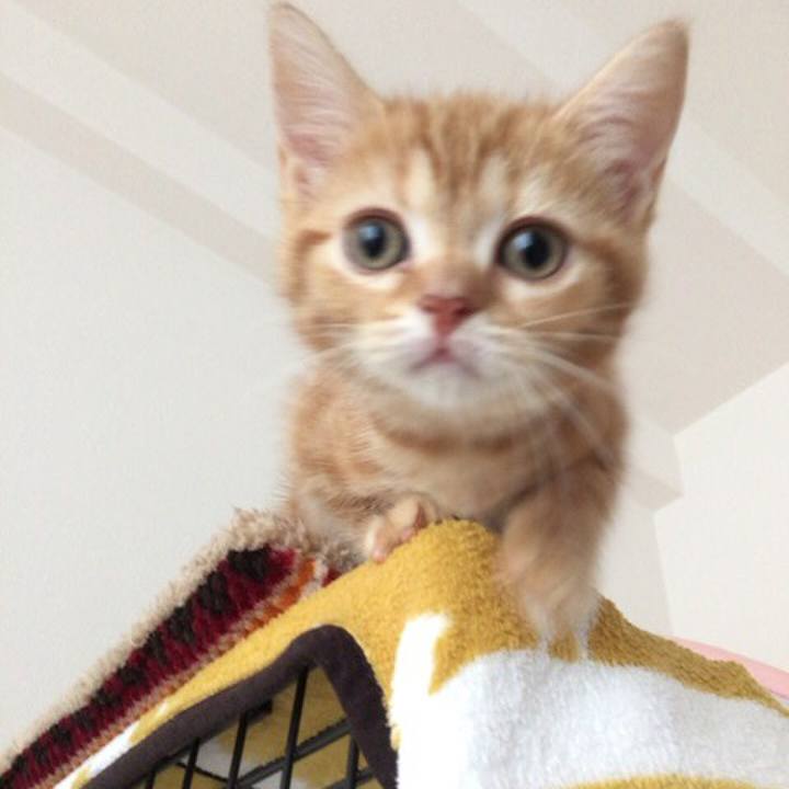 0191d9a2 34b0 423d 8a76 1870fff8d7e9