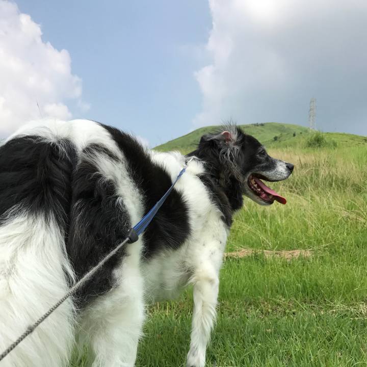 01926666 add3 4dc0 b7f1 67f1015b141d