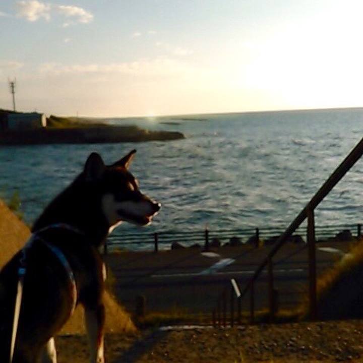 0192c226 cf59 4448 b3aa bdcd3462c076