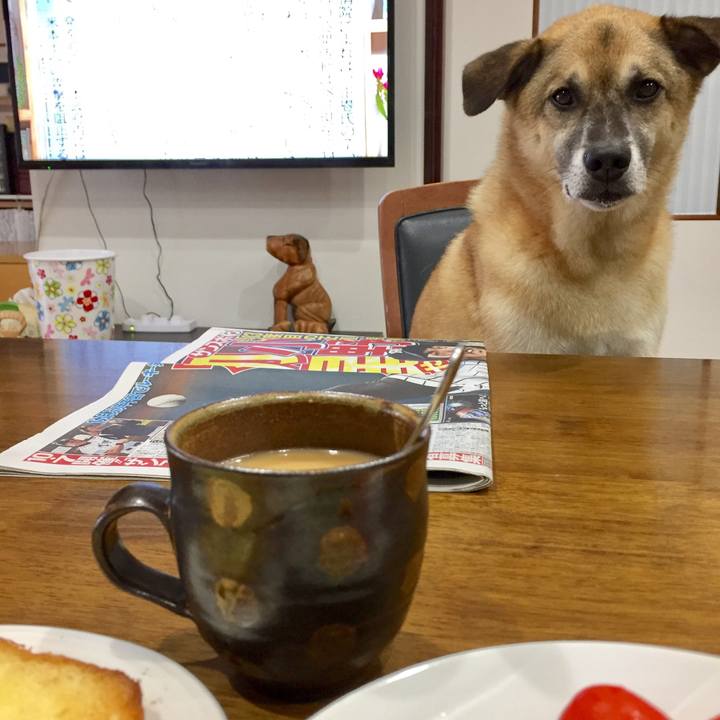 01938642 9d94 458b 8290 de572171fc1a