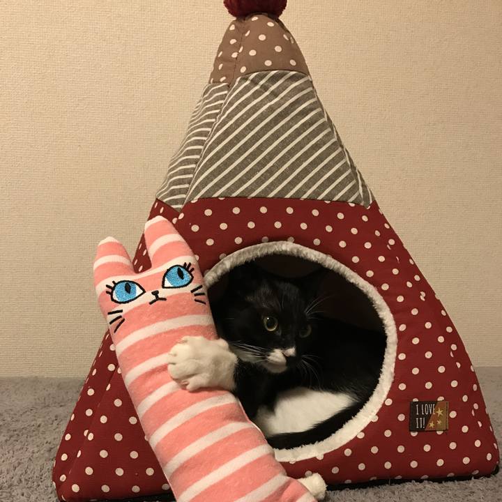 01943f23 20ab 4aa6 bb47 4212ccc745f2