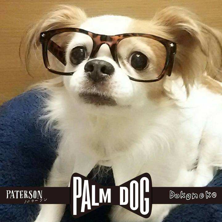 0194b16b 6834 4d0c a5c0 3734ebf8275e