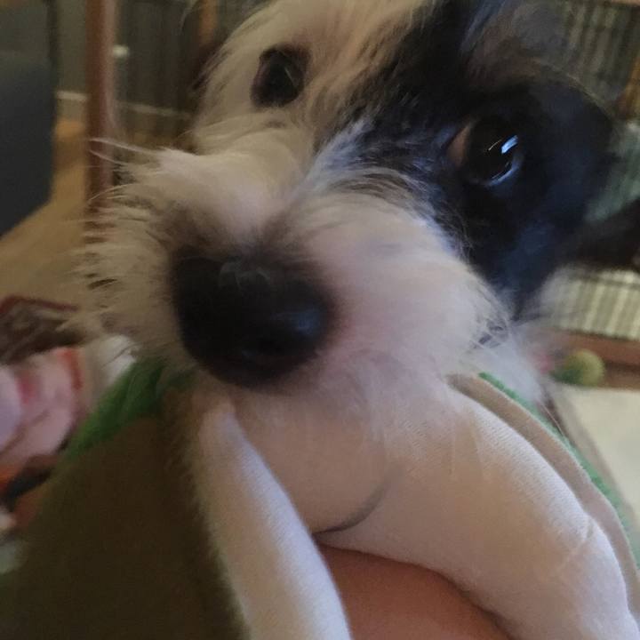 019569b2 9caa 443a b5ec fc47b5e20dd2