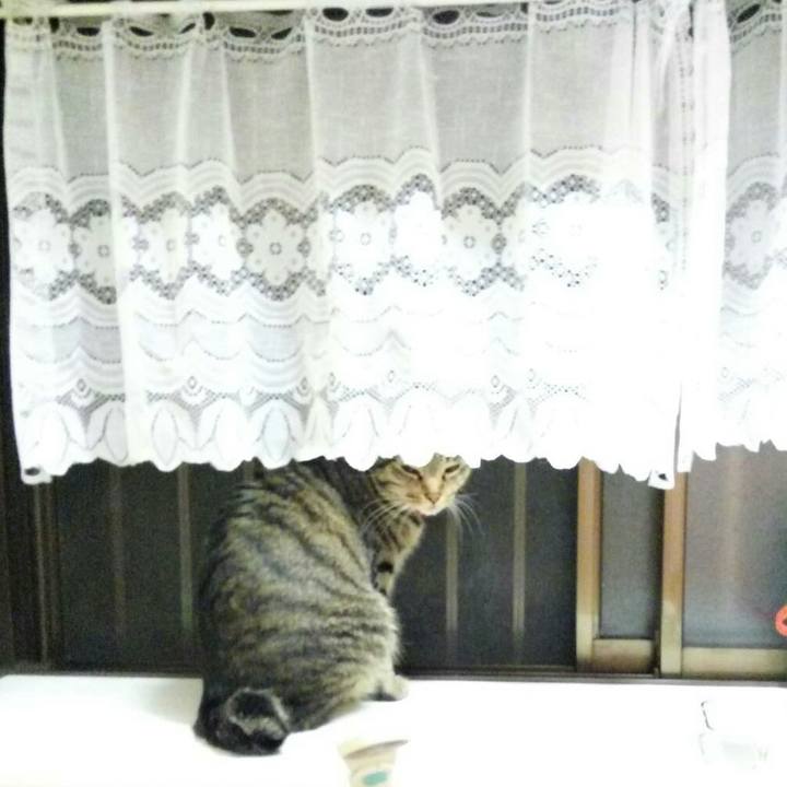 0196a3e3 ed92 4fc9 bde4 ffa5d01d003f