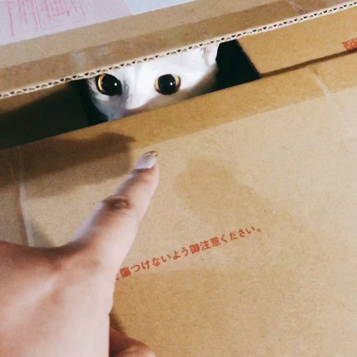 0197f67f a4b6 467a 8046 872bb6a15136