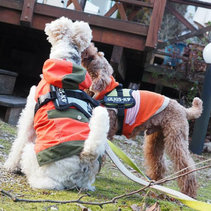 01980bb3 a007 45b5 bc24 3e21adc07595