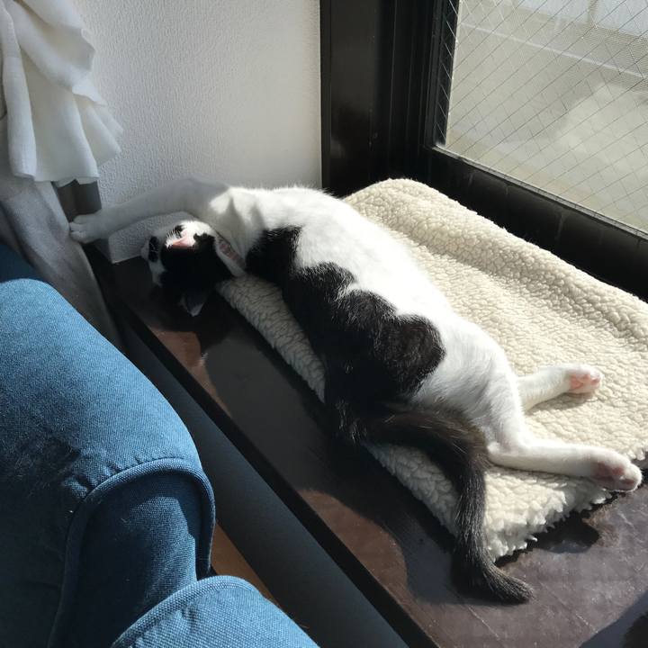 0198a63a b132 4330 9a10 b2309515f515