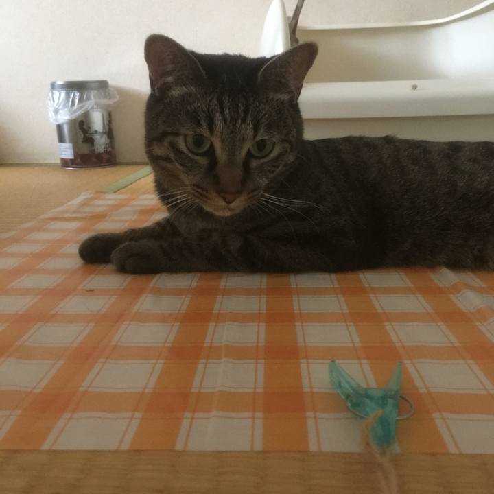 0198b436 fe71 4d00 bb24 4772430fc3b7