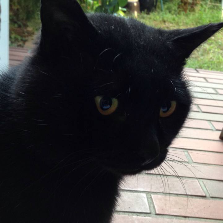 01992202 fd88 4f90 aca0 4ca057c4fa81