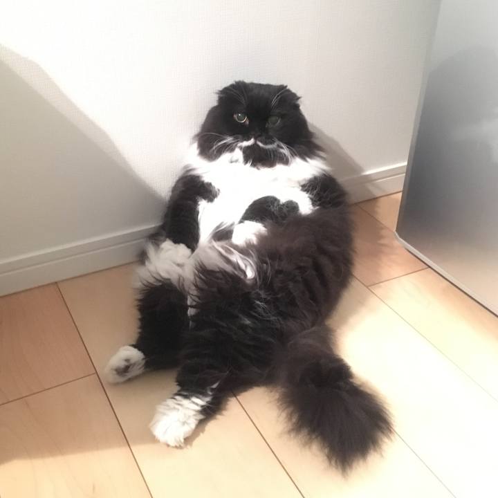 019a825a 28c1 4ba7 a327 cedc72dbe3d2