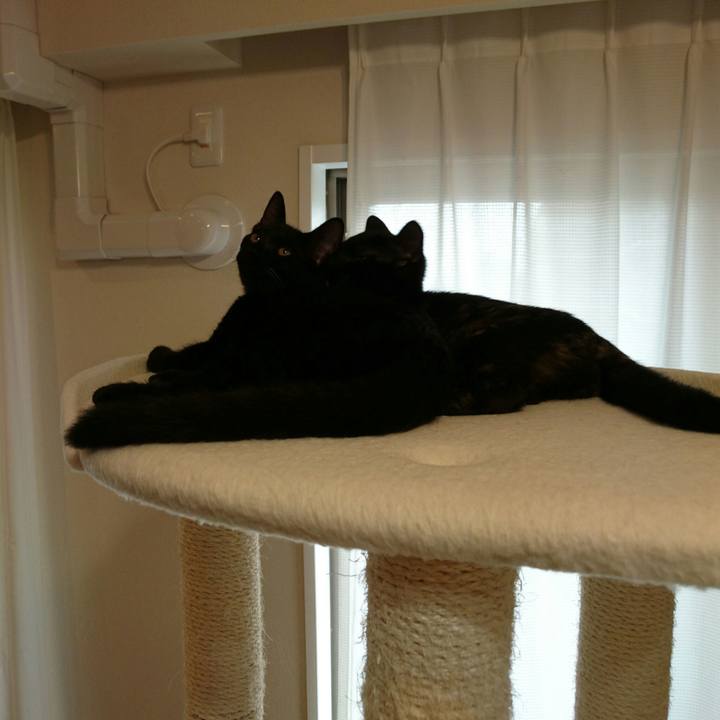 019aa715 748d 4c4c 89f1 273039b0a32d