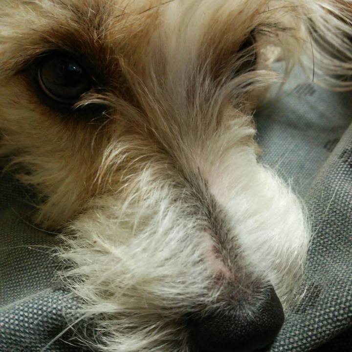 019ac91a 97c9 4274 98df 31559ae23142