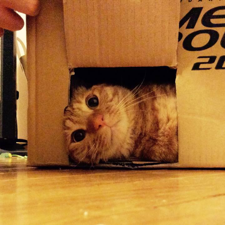 019aca08 240c 41a4 a25e 24d06a99bbc6