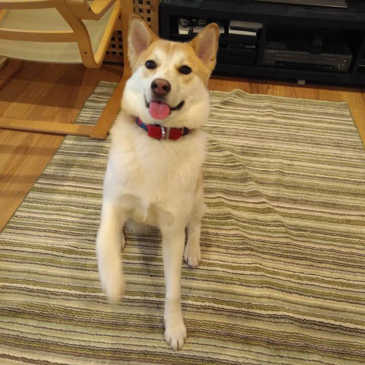 019b2bf9 571a 4508 8875 6f5fbbb68d46