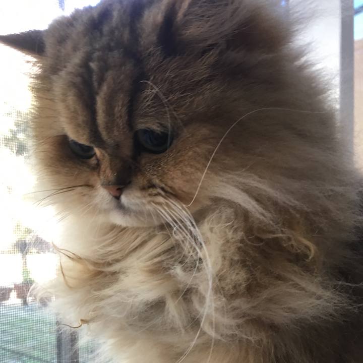 019b4dde 2be7 4408 87cd 897004c17600